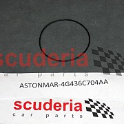 4G43-6C704-AA O Ring - Engine Duct