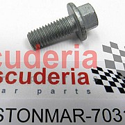 703121 Screw, M8 x 25, Hex Flange Head