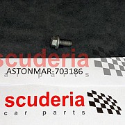 703186 Bolt M10 x 20 Flange Head Chrome Free