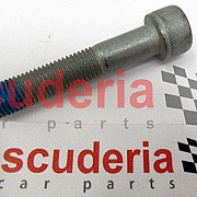 FD43-CD60-AA Screw M10 X 55 X 1.25