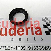 1T0919133C9B9 seal ring, for Ultrasound sensor