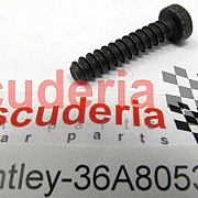 36A 805 307 filler plate