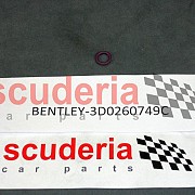 3D0260749C seal ring