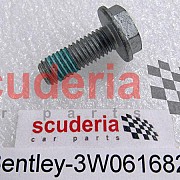 3W0616825 screw, hex. hd.