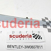 3W0807811 trim strip for bumper