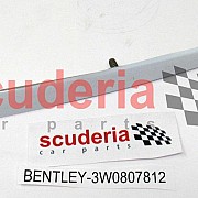 3W0807812 trim strip for bumper