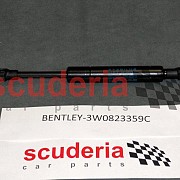 3W0823359C Gas Strut