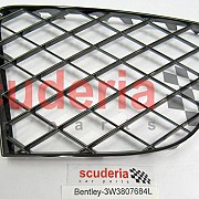 3W3 807 684 L grille