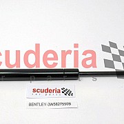 3W5827550B gas strut