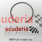 3Y0601175 retaining spring D -    MJ 2023>>