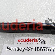 3Y1 867 577 chrome trim