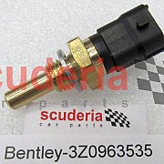 3Z0963535 temperature sensor