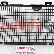 4M1 819 408 A leaf grille