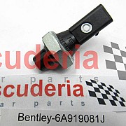 06A919081J oil pressure switch