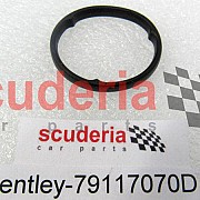 079 117 070 D seal ring