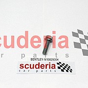 N10025004 hexagon head bolt (combi)