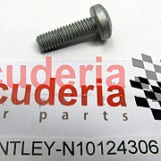 N10124306 Hexagon socket flat head bolt