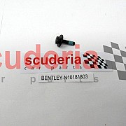 N10181803 screw, hex. hd.