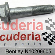 N10209605 bolt, hex. hd. with shoulder