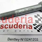 N10241202 screw, hex. hd.