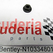 N10334801 shouldered hex. nut,, self-locking, F >> 3Y-C-017 366, F >> ZH-C-017 366