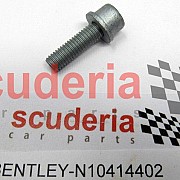 N10414402 Socket head bolt with hexagon socket head