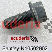 N10502902 screw, hex. hd., D - MJ 2007>>