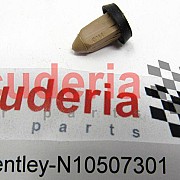 N10507301 expanding nut