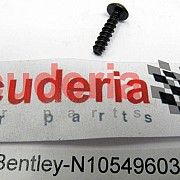 N 105 496 03 Oval hexagon socket head bolt