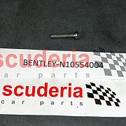 N10554004 socket head bolt with inner multipoint head