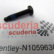 N10596302 oval hexagon socket head bolt