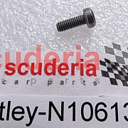 N10613301 Hexagon socket flat head bolt