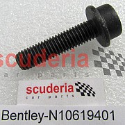 N10619401 socket head collared bolt with inner multipoint head