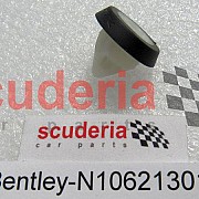 N10621301 expanding nut