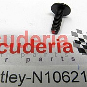 N10621601 Hex socket oval head collared