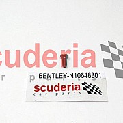 N10648301 hex socket countersunk bolt