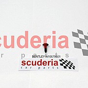 N10679501 oval head panel screw