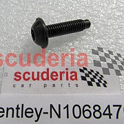 N10684701 Oval hexagon socket head bolt