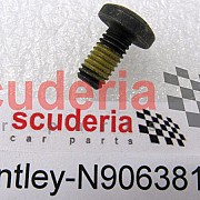 N90638103 round hd. screw