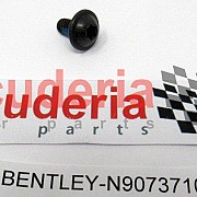 N90737105 Hexagon socket oval head bolt, self-locking