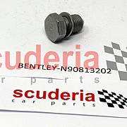 N90813202 Seal Bolt with Sealing Ring