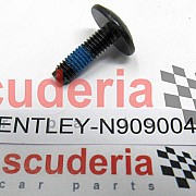 N90900401 Hex socket oval head collared