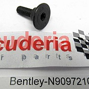 N90972101 hex socket head locating bolt