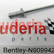 N90994201 pop rivet