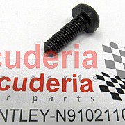 N91021103 Flat head multi-point socket bolt