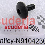 N91042302 Oval hexagon socket head bolt