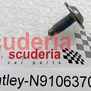 N91063701 hex socket oval head collared