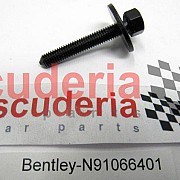 N91066401 Hexagon socket head, bolt (combi)