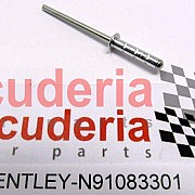 N91083301 Pop rivet