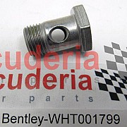 WHT001799 banjo bolt